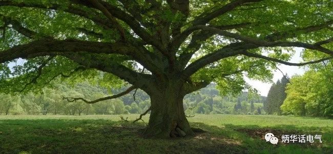 風(fēng)雨天注意三個(gè)“遠(yuǎn)離”保安全！_4